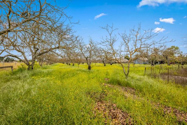13755 Columbet Avenue, San Martin CA: https://media.crmls.org/mediaz/6dca5f21-ec52-477e-b78f-c02f32e6bd59.jpg