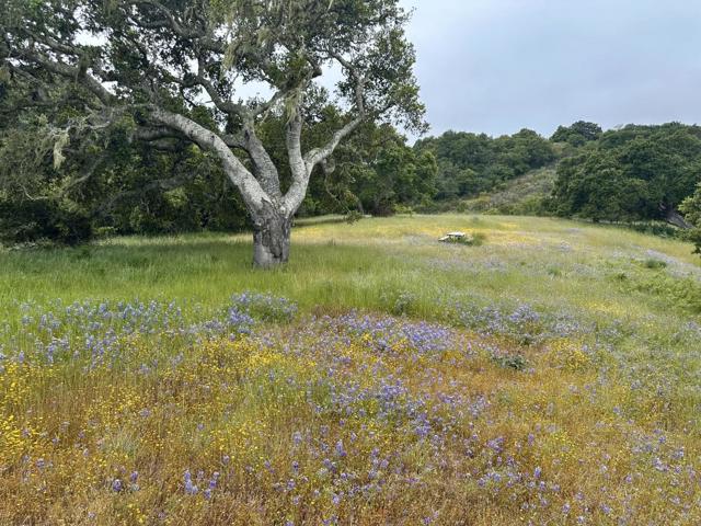 8 Corral Run, Carmel CA: https://media.crmls.org/mediaz/6dccad1e-8d7b-4bc3-8f98-da872ebb1f03.jpg