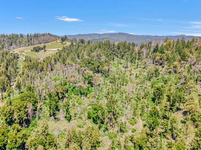 0 Memory, Boulder Creek CA: https://media.crmls.org/mediaz/6dce0491-39e4-49d1-9a93-a99db89435dc.jpg