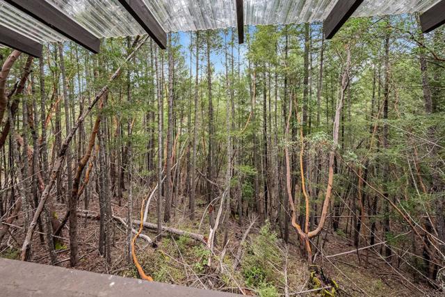 Detail Gallery Image 29 of 61 For 17521 Eel River Rd, Potter Valley,  CA 95469 - 3 Beds | 2 Baths