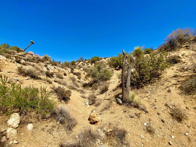 120 Benmar Trail, Morongo Valley CA: https://media.crmls.org/mediaz/6dd91fc9-8d4b-4a73-8cfb-6589511b9c6b.jpg