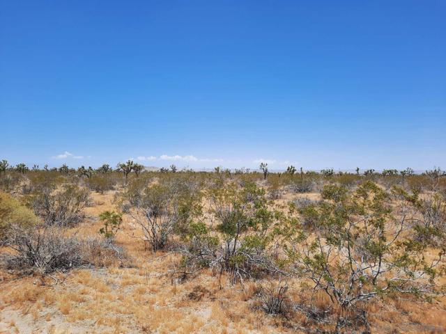 0 Tbd, Llano, CA 93544