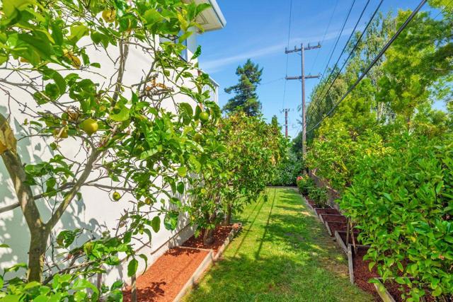 3709 Kenwood Avenue, San Mateo CA: https://media.crmls.org/mediaz/6e004d2d-0760-465e-a19c-a9951bae89d9.jpg