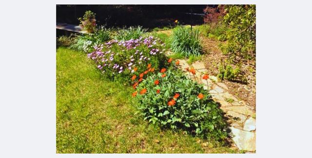 1280 Grant Road, Los Altos CA: https://media.crmls.org/mediaz/6e074a13-ede5-49d5-b652-f20ec9e20d8f.jpg