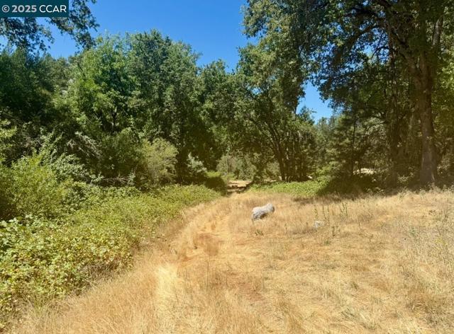 4578 Pretty Good Rd, Placerville CA: https://media.crmls.org/mediaz/6e0a9456-46ed-4c64-a0c3-65534c338bdc.jpg