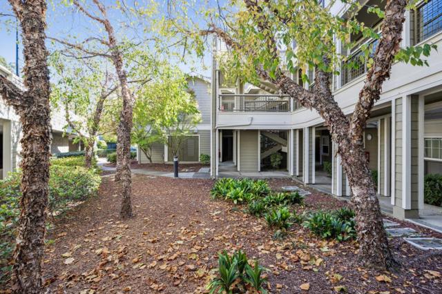 415 Callippe Court, Brisbane CA: https://media.crmls.org/mediaz/6e0ca972-69aa-4a52-aa1e-ad55802d07eb.jpg