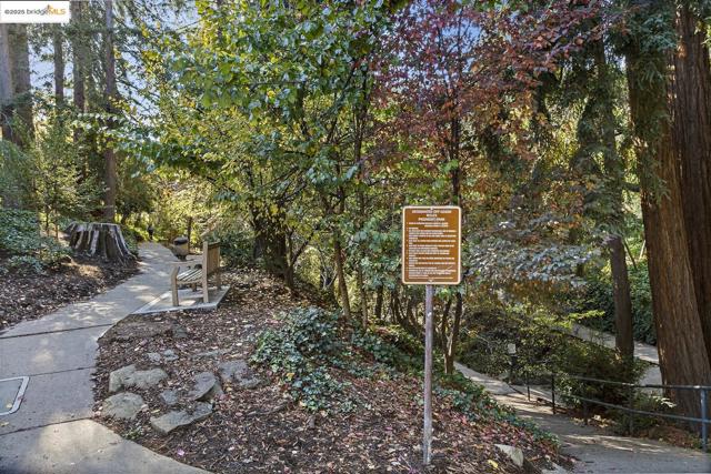 61 Wildwood Ave, Piedmont CA: https://media.crmls.org/mediaz/6e0e665f-e830-4bc8-9546-23f737dc4fb3.jpg