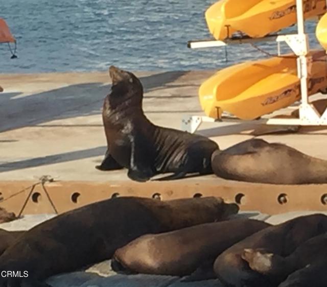 Detail Gallery Image 31 of 58 For 4126 Harbour Island Ln, Oxnard,  CA 93035 - 4 Beds | 3/1 Baths