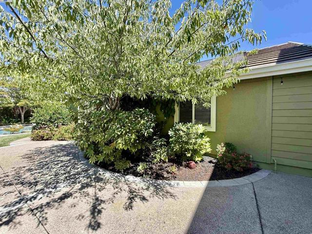 1164 Lexington Way, Livermore CA: https://media.crmls.org/mediaz/6e1fb081-0461-4255-9d03-49dcf709bbee.jpg