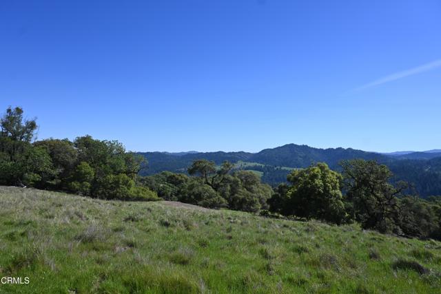 Detail Gallery Image 39 of 59 For 24051 Fig Tree Ln, Yorkville,  CA 95494 - – Beds | – Baths