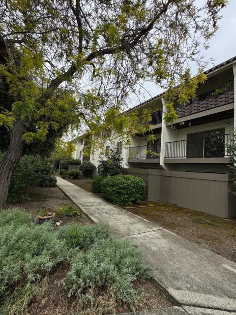 1730 Halford Avenue, Santa Clara CA: https://media.crmls.org/mediaz/6e2c107a-d78f-4490-935f-e594de7eb393.jpg