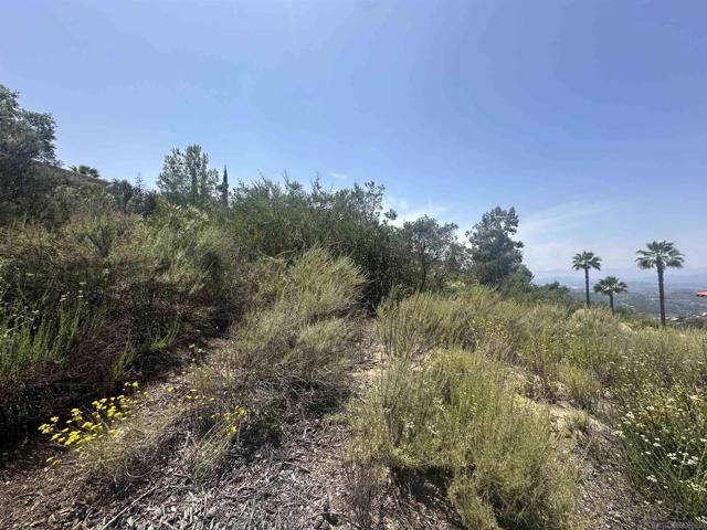0 Sage Hill Way, Escondido CA: https://media.crmls.org/mediaz/6e312396-7bed-4372-a219-84ce6df76a83.jpg