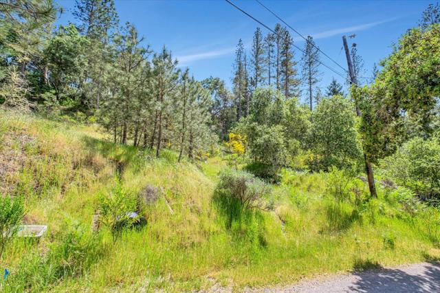 0 Zayante School Road, Felton CA: https://media.crmls.org/mediaz/6e381735-715f-4203-a6b7-fece2fef541b.jpg