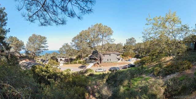 0 Hidden Pines Rd, Del Mar CA: https://media.crmls.org/mediaz/6e527a2c-14f5-415b-b665-fef3a3731874.jpg