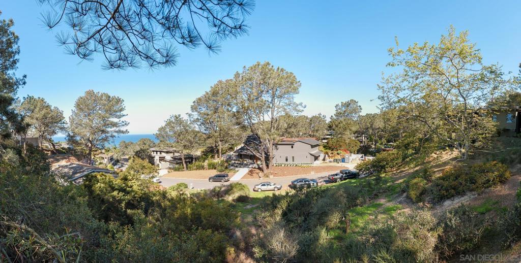 Hidden Pines Rd Del Mar - photo 14
