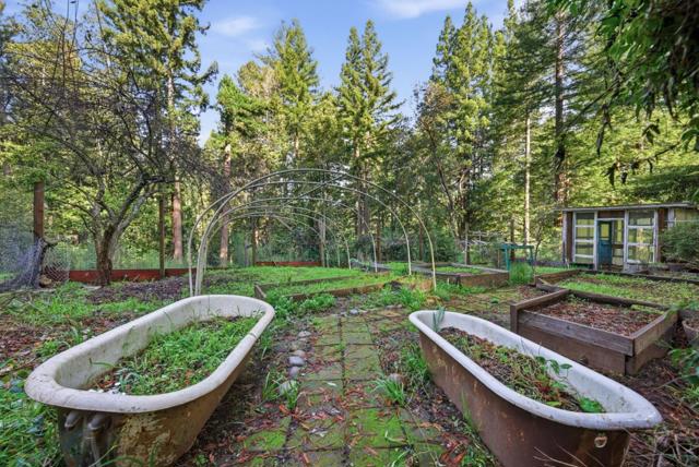 675 Western Avenue, Brookdale CA: https://media.crmls.org/mediaz/6e588e1f-fdf3-4cba-abc0-b9d72639fec3.jpg