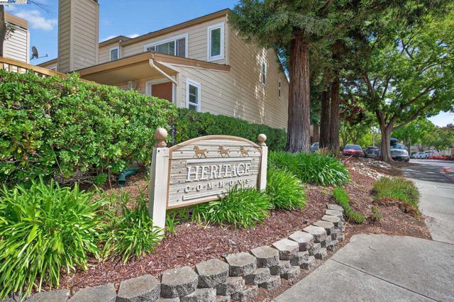 6574 Conestoga Ln, Dublin CA: https://media.crmls.org/mediaz/6e5a8373-678c-4883-8ded-b950ea85c4e6.jpg