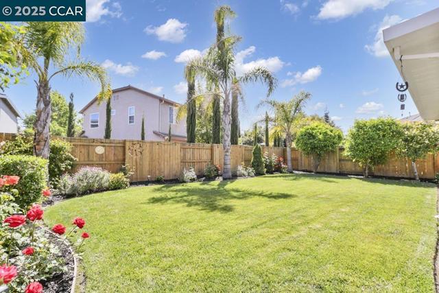369 Myrtle Ln, Oakley CA: https://media.crmls.org/mediaz/6e5b2212-1544-4236-b972-39850910d023.jpg