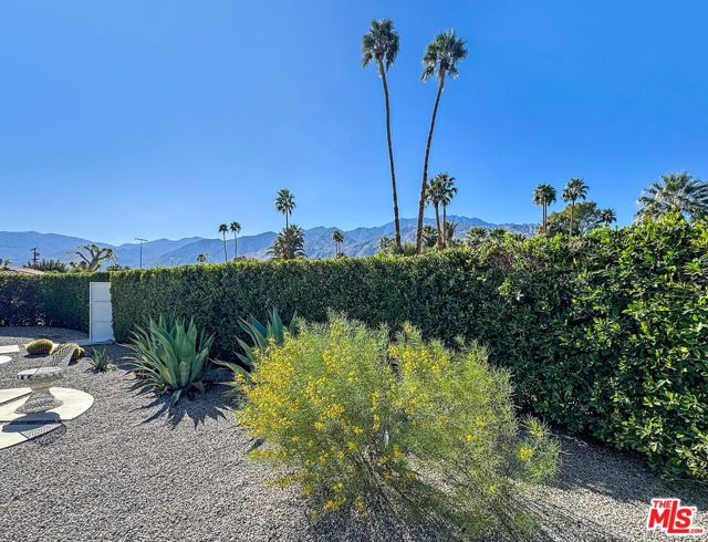 2235 E Paseo Gracia, Palm Springs CA: https://media.crmls.org/mediaz/6e5db7e9-25fb-4d5f-868f-75497437193a.jpg