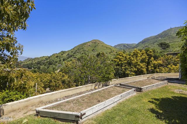 Detail Gallery Image 7 of 65 For 17248 S. Mountain Rd, Santa Paula,  CA 93060 - 3 Beds | 2 Baths
