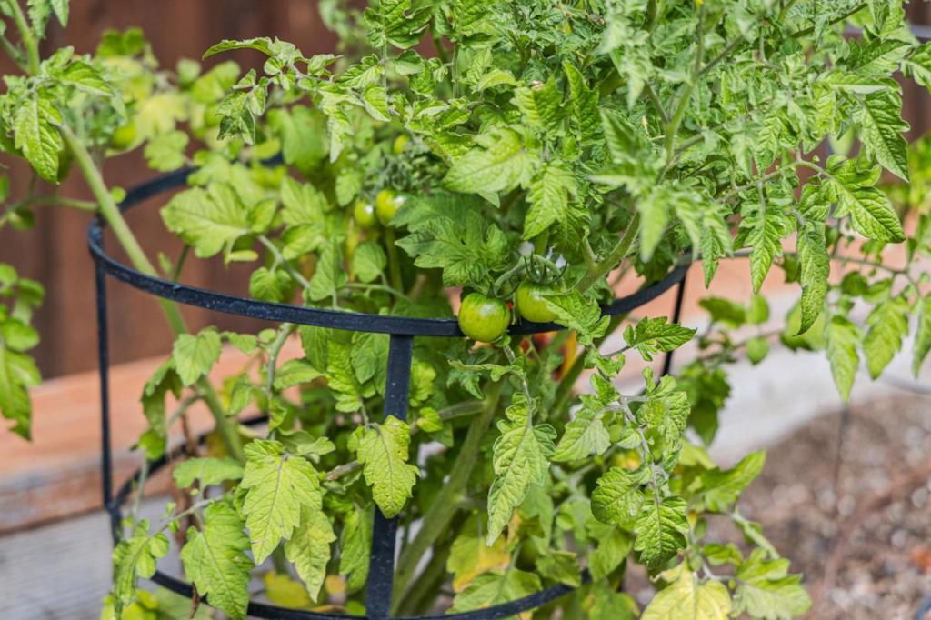 https://media.crmls.org/mediaz/6e758a1c-ae80-4197-85ab-c8872d69bf72.jpg?preset=X-Large