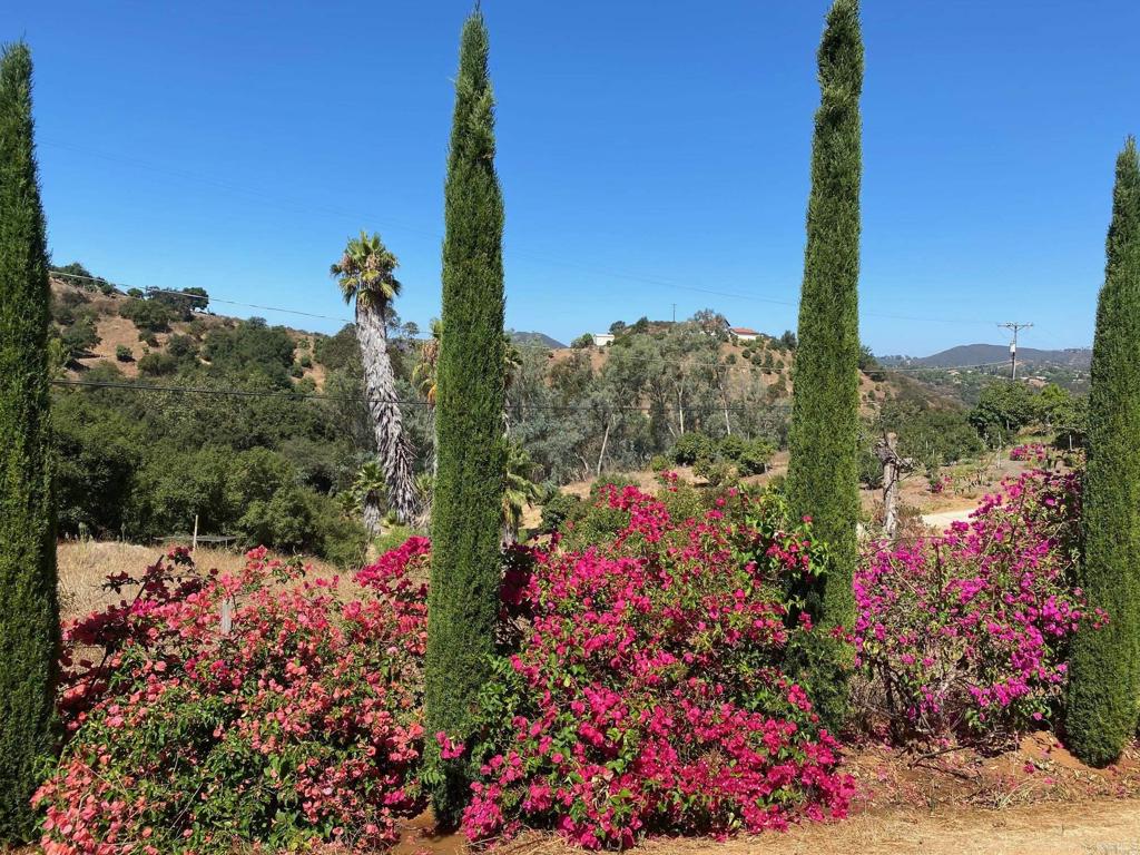 MLS #NDP2410465 image #28