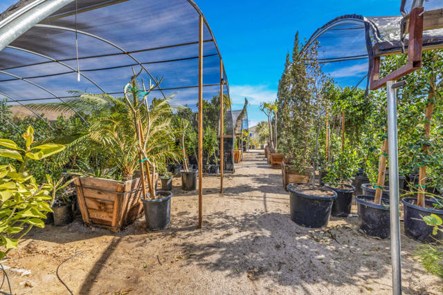 16961 Evans Lane Lane, Desert Hot Springs CA: https://media.crmls.org/mediaz/6e83b35b-b8fc-4d9d-a6b0-2ec8020e4a02.jpg