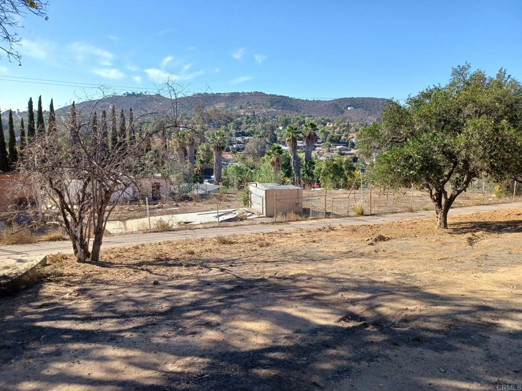 MLS #PTP2507291 image #5