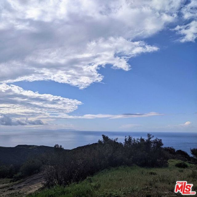2195 E Little Las Flores Road, Topanga CA: https://media.crmls.org/mediaz/6e8ef150-a8c5-4030-a7f4-586a1dcb7467.jpg