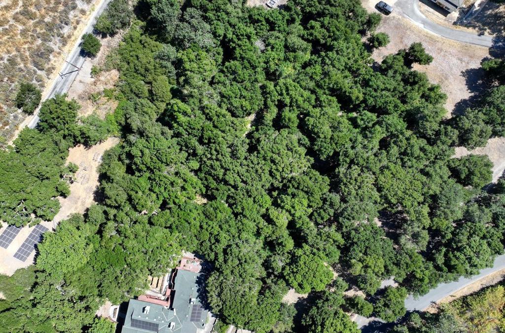 MLS #ML81991088 image #7