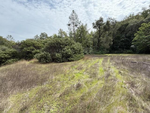 11 Little Uvas Road, Morgan Hill CA: https://media.crmls.org/mediaz/6e92deb7-93ae-4ef9-a1c6-e256b15ddd14.jpg