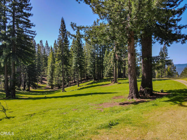 Detail Gallery Image 9 of 49 For 13740 Peregrine Rd, Boonville,  CA 95415 - – Beds | – Baths