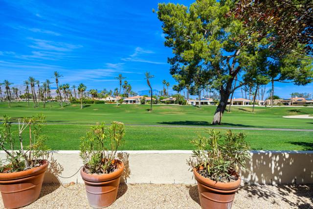 44825 Guadalupe Drive, Indian Wells CA: https://media.crmls.org/mediaz/6ea49558-3534-480b-80fd-62520b4ebdd6.jpg