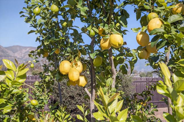 Detail Gallery Image 45 of 50 For 1318 La Paz Dr, Ojai,  CA 93023 - 4 Beds | 2/1 Baths