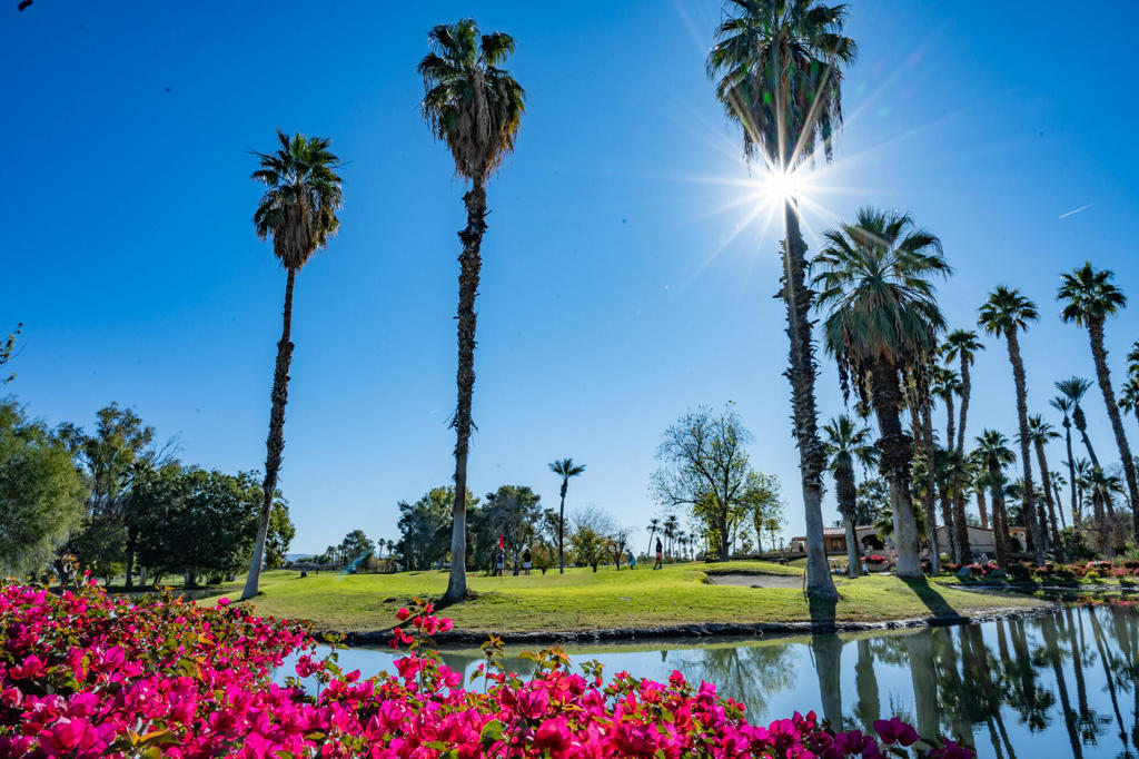 MLS #219138325DA image #28