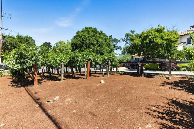 45 Sneckner Court, Menlo Park CA: https://media.crmls.org/mediaz/6eb6fc6c-d7f0-4b04-babb-a0ded7745d68.jpg