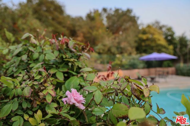 520 Barker Pass Road, Santa Barbara CA: https://media.crmls.org/mediaz/6ebc87fe-3f17-4438-ada9-aa75dcd9a5e3.jpg