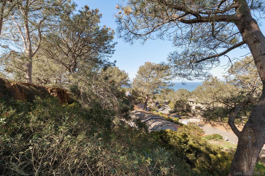Hidden Pines Rd Del Mar - photo 13