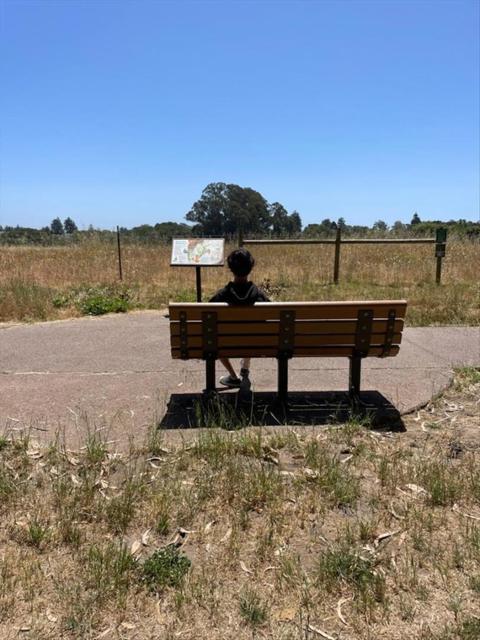 140 Suburbia Avenue, Santa Cruz CA: https://media.crmls.org/mediaz/6ec44b55-0e0d-4559-a7a2-70a47f0b51f2.jpg