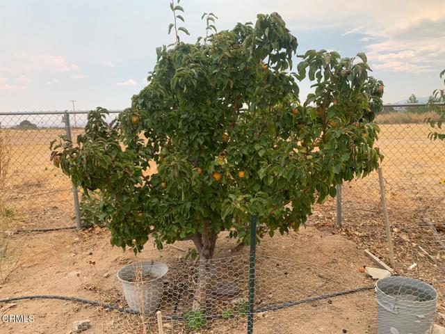 Detail Gallery Image 38 of 51 For 31212 Rabbit Springs Rd, Lucerne Valley,  CA 92356 - 3 Beds | 2 Baths