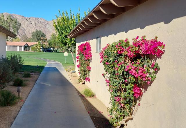 49091 Washington Street, La Quinta CA: https://media.crmls.org/mediaz/6eccb7dd-e7c2-4543-bfb1-7d0bdb60beee.jpg