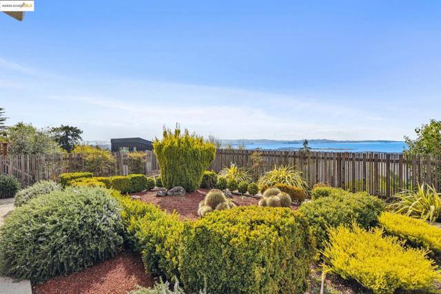 256 Cambridge Ave, Kensington CA: https://media.crmls.org/mediaz/6ed2149c-75ee-4892-9017-697f6e4bfff4.jpg