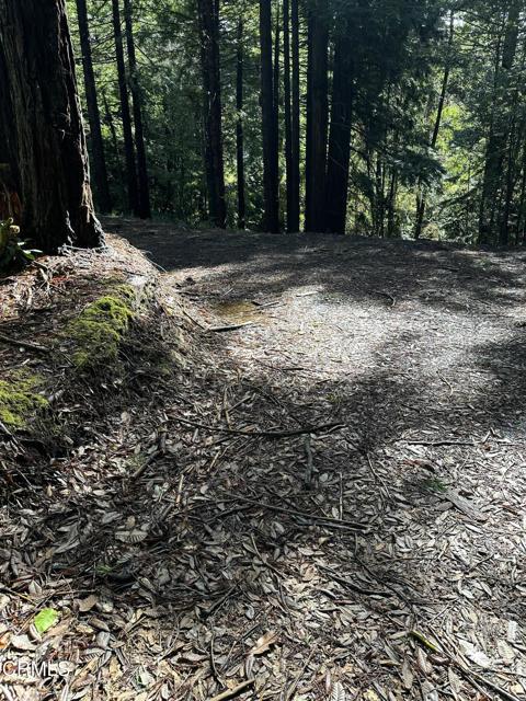 Detail Gallery Image 5 of 7 For 17500 Redwood Springs Dr, Fort Bragg,  CA 95437 - – Beds | – Baths