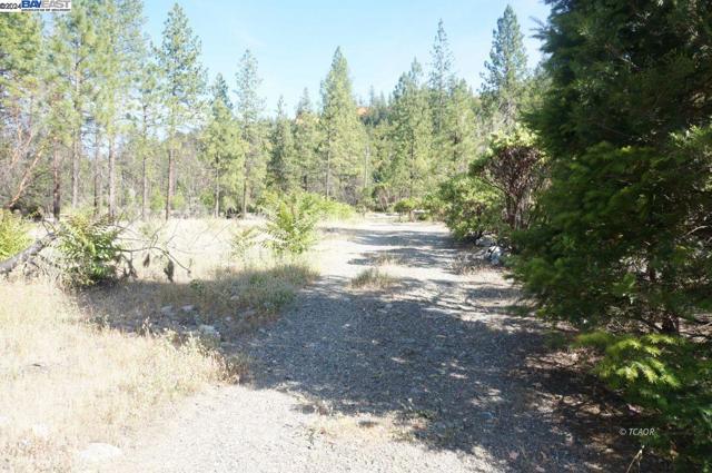101 River Acres, Junction City CA: https://media.crmls.org/mediaz/6ee7a213-5b63-4c1d-8413-903616616888.jpg