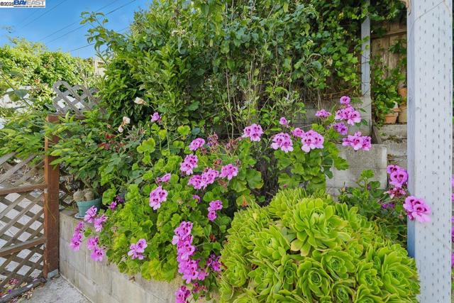 232 Longford Dr, South San Francisco CA: https://media.crmls.org/mediaz/6efe518f-1c84-44ea-9be8-a65cfb39cf8b.jpg
