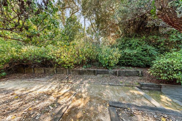 Image 52 of 67 For 3510 Viola Drive