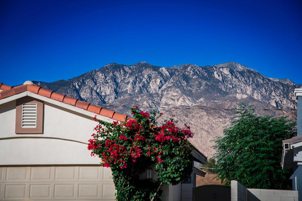 MLS #219137135DA image #1