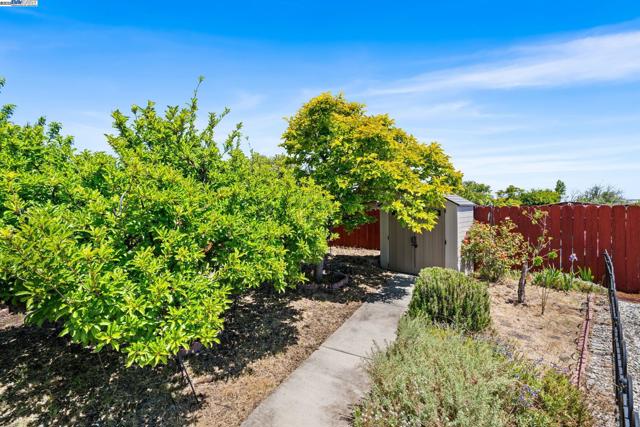1457 Via El Monte, San Lorenzo CA: https://media.crmls.org/mediaz/6f088e8a-eeaf-48fe-ab69-c58fe9272f21.jpg