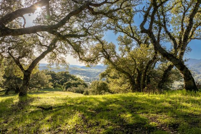52 Chamisal Pass (Lot 136), Carmel CA: https://media.crmls.org/mediaz/6f0922f9-6727-4ab1-8dc4-6aae24704802.jpg