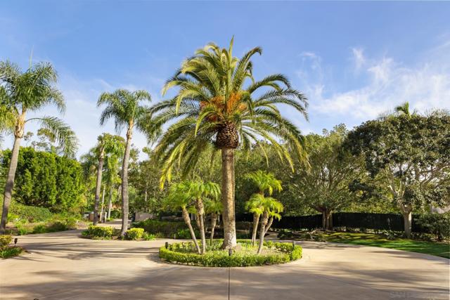 18050 Rancho La Cima Corte, Rancho Santa Fe CA: https://media.crmls.org/mediaz/6f100bcd-a08e-4295-b9f8-ac582bad3a50.jpg